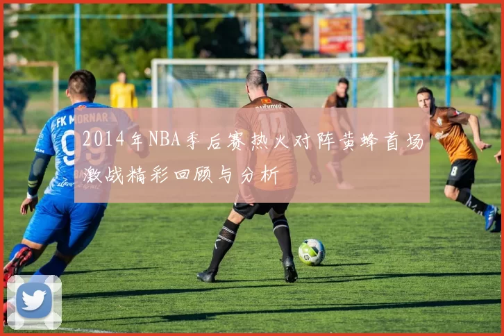 2014年NBA季后赛热火对阵黄蜂首场激战精彩回顾与分析
