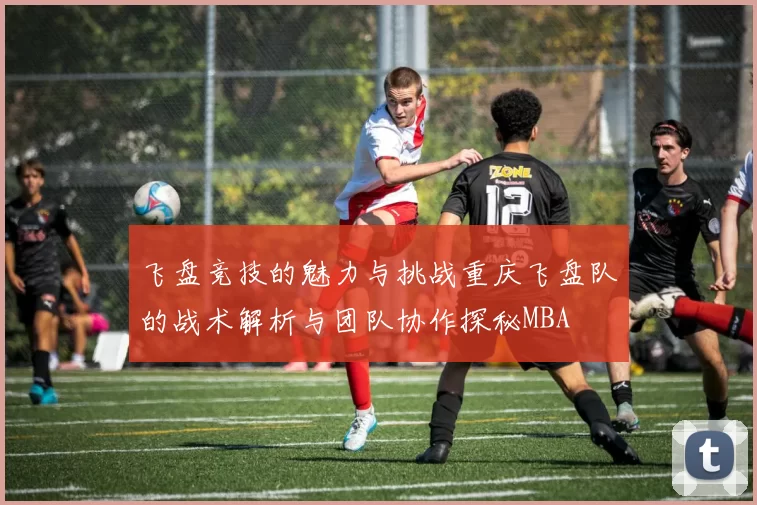 飞盘竞技的魅力与挑战重庆飞盘队的战术解析与团队协作探秘MBA