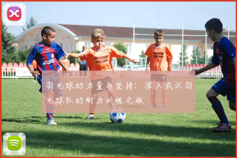 羽毛球的力量与坚持：深入武汉羽毛球队的耐力训练之旅