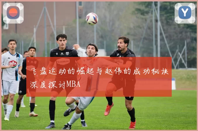 飞盘运动的崛起与赵伟的成功秘诀深度探讨MBA